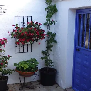 Finca El Cisne, Torrox